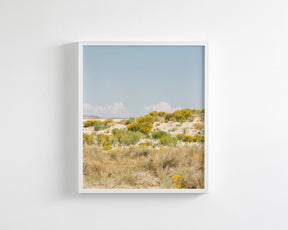 Sandflowers