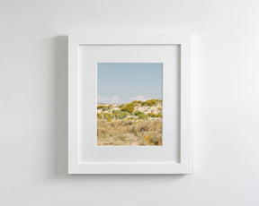 Sandflowers