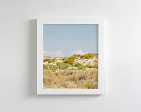 Sandflowers
