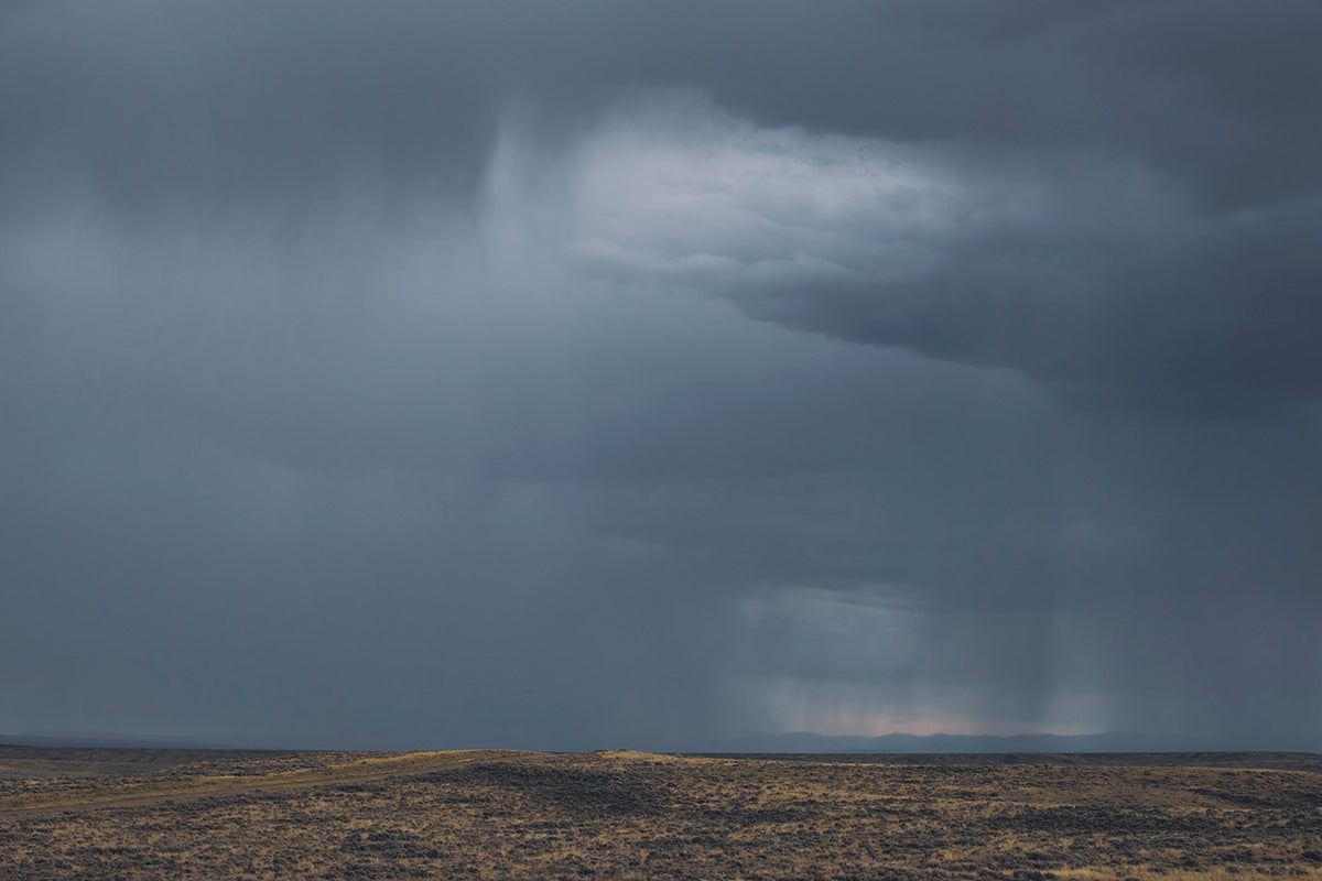 Desert Rain Landscape