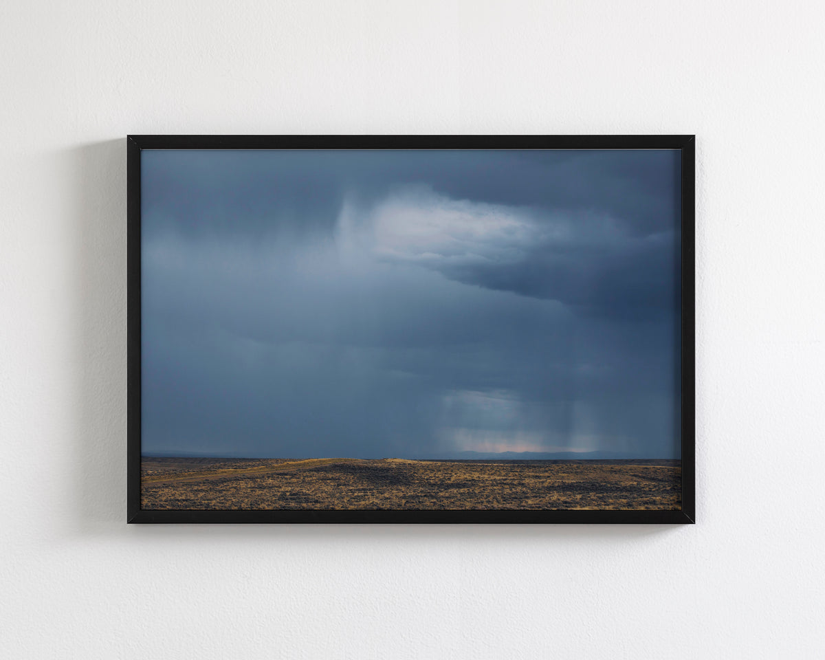 Desert Rain Landscape