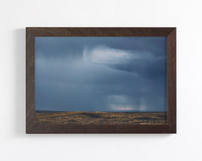 Desert Rain Landscape