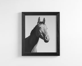 Simple Horse Portrait