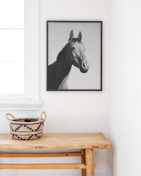 Simple Horse Portrait