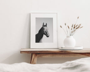 Simple Horse Portrait