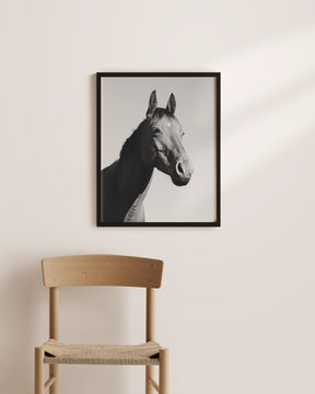 Simple Horse Portrait