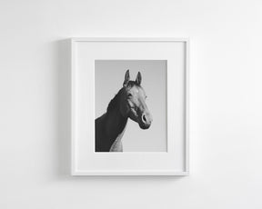 Simple Horse Portrait