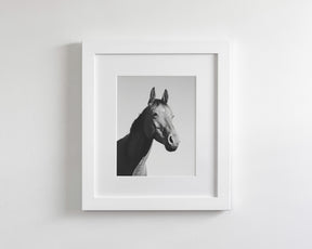 Simple Horse Portrait