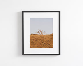 Warm Barren Landscape