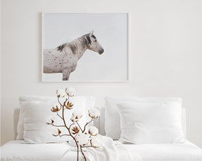Courage- Wild Stallion Color Photograph