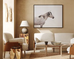 Courage- Wild Stallion Color Photograph