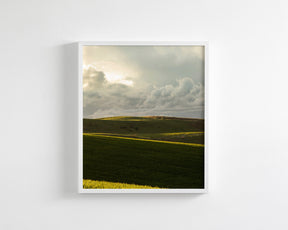 Emerald Fields, Vertical