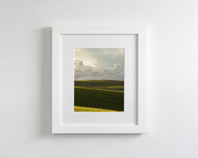 Emerald Fields, Vertical