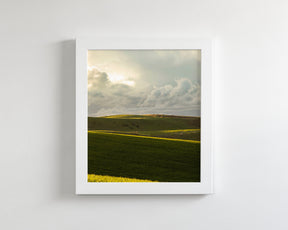 Emerald Fields, Vertical