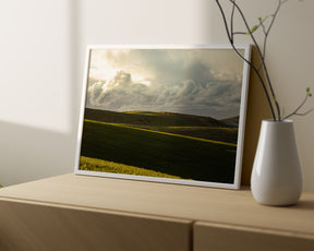 Emerald Fields