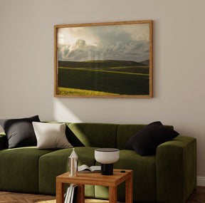 Emerald Fields