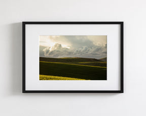Emerald Fields