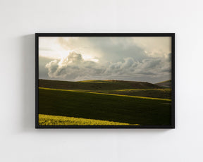 Emerald Fields