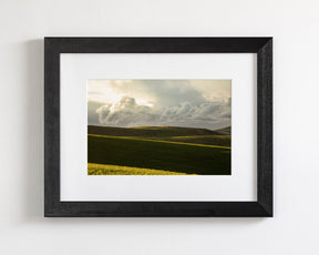 Emerald Fields