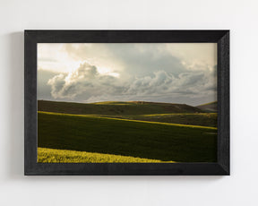 Emerald Fields