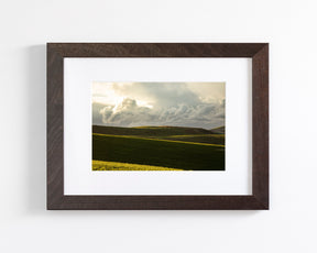 Emerald Fields