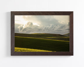 Emerald Fields