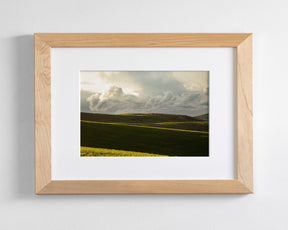 Emerald Fields