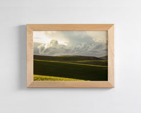 Emerald Fields