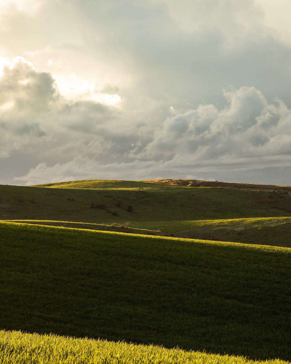 Emerald Fields, Vertical