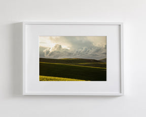 Emerald Fields