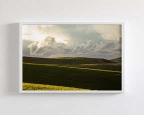 Emerald Fields