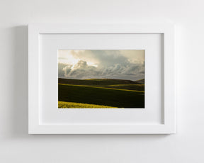 Emerald Fields