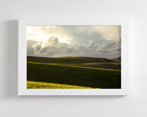 Emerald Fields