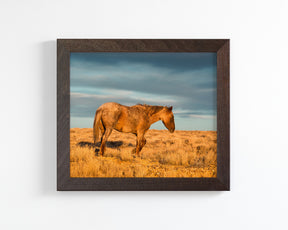 Wyoming Sunrise
