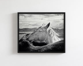 Sunrise Snuggles, Rugged Mountain Horses
