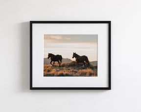 Sunset Mustangs