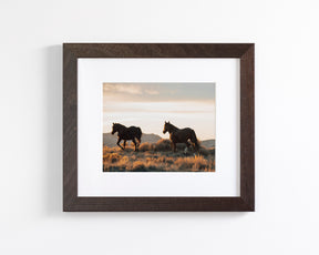 Sunset Mustangs