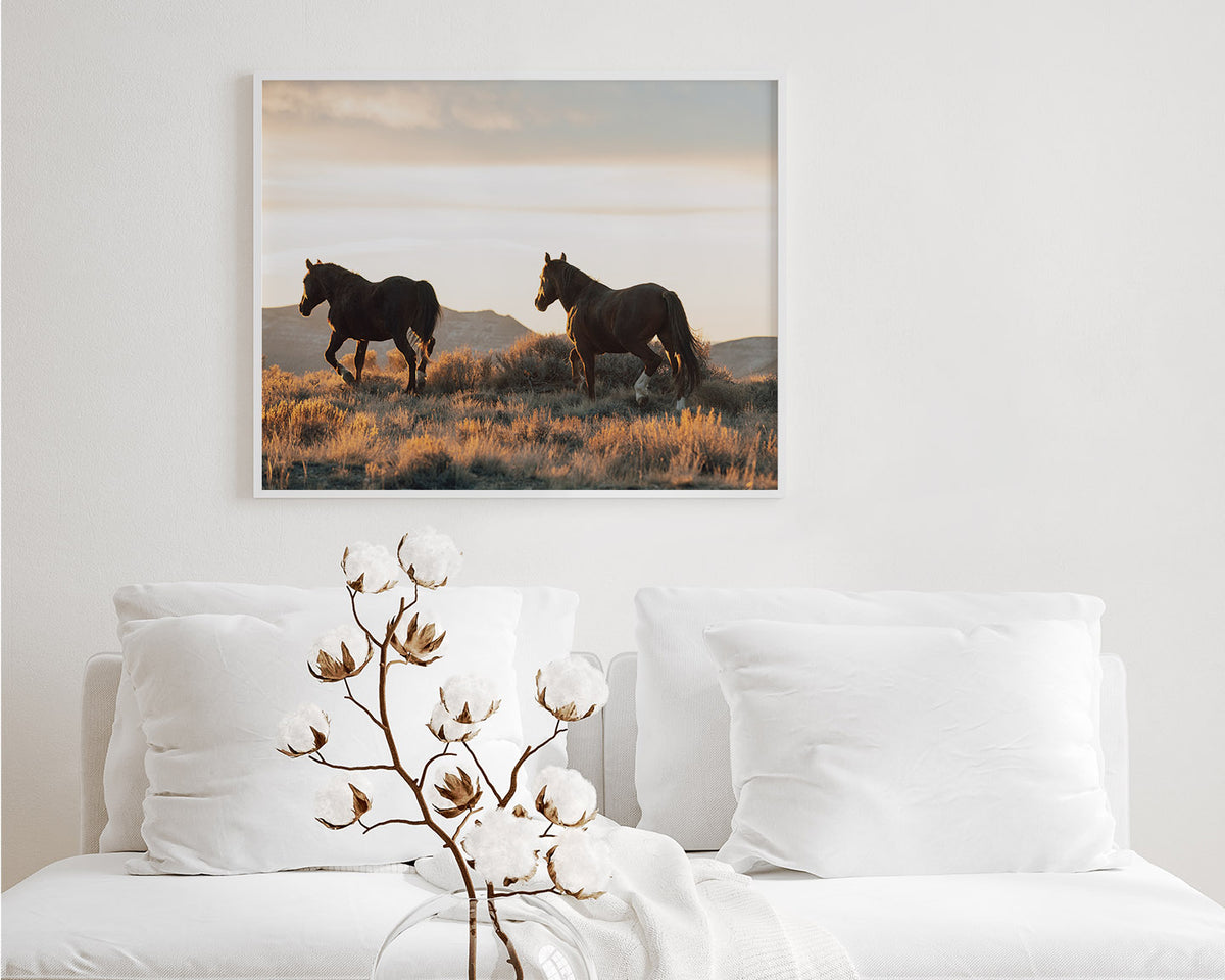 Sunset Mustangs