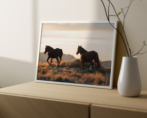 Sunset Mustangs