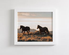 Sunset Mustangs