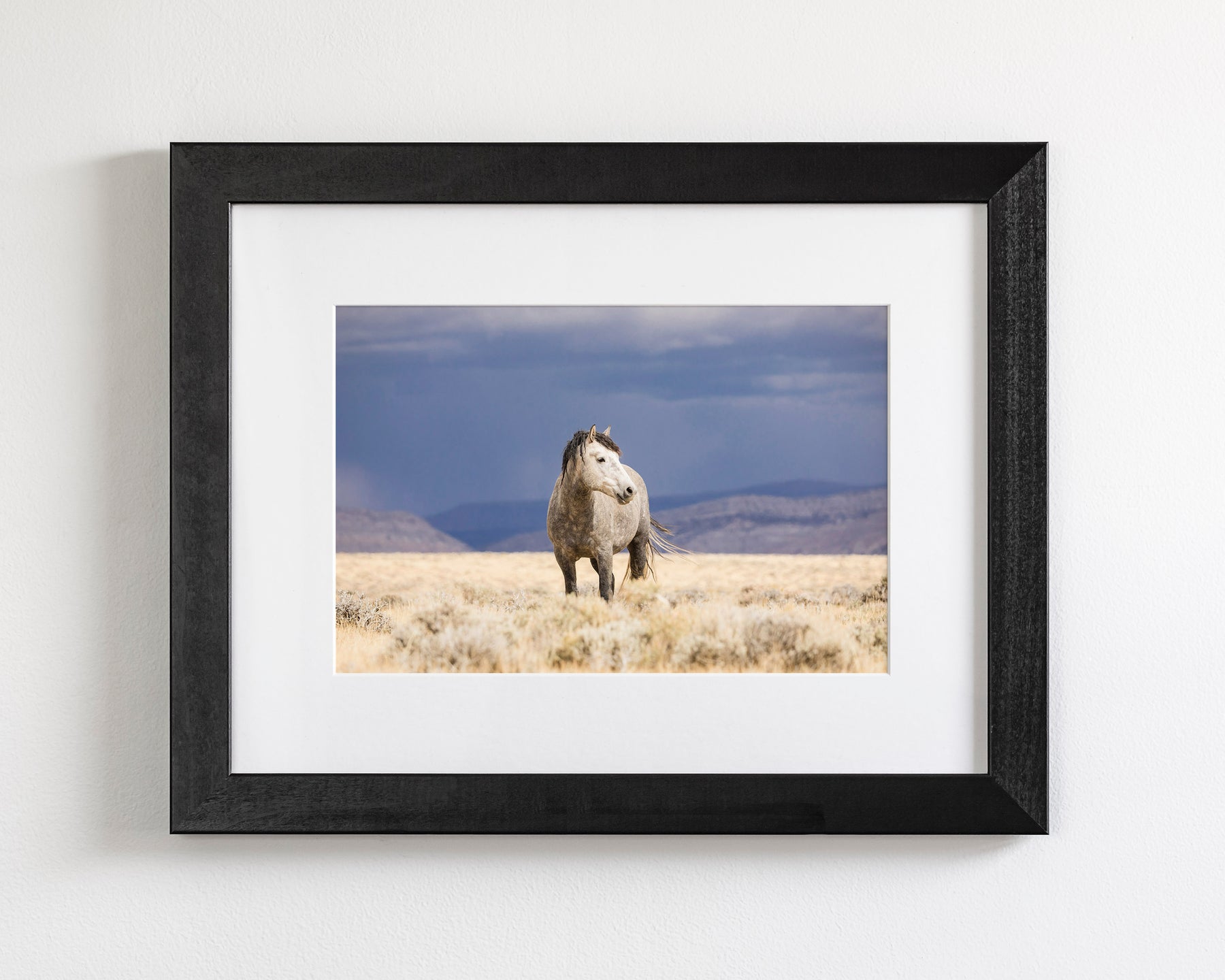Sunshower, Wild Horse Photograph