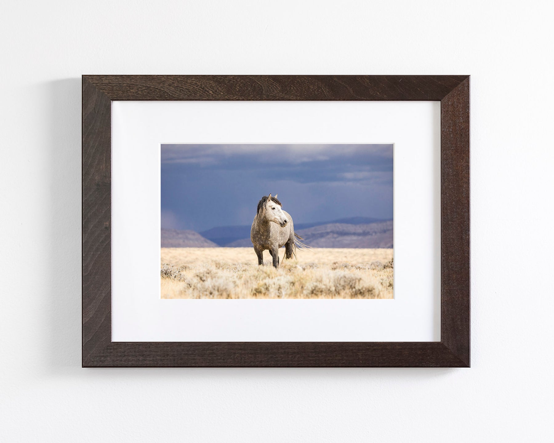 Sunshower, Wild Horse Photograph