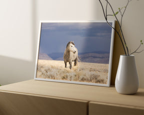 Sunshower, Wild Horse Photograph