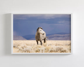 Sunshower, Wild Horse Photograph