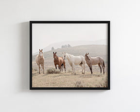 Hillside Horses