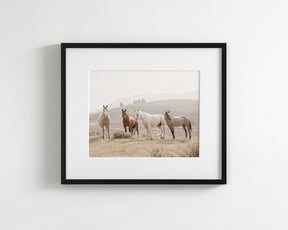 Hillside Horses