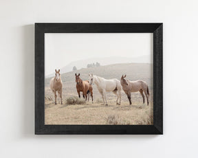 Hillside Horses