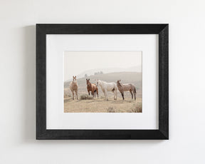 Hillside Horses