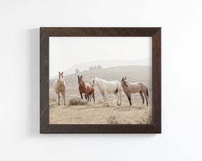 Hillside Horses