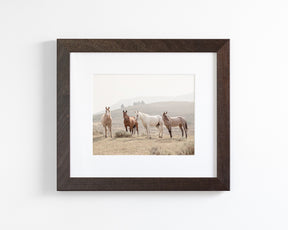 Hillside Horses